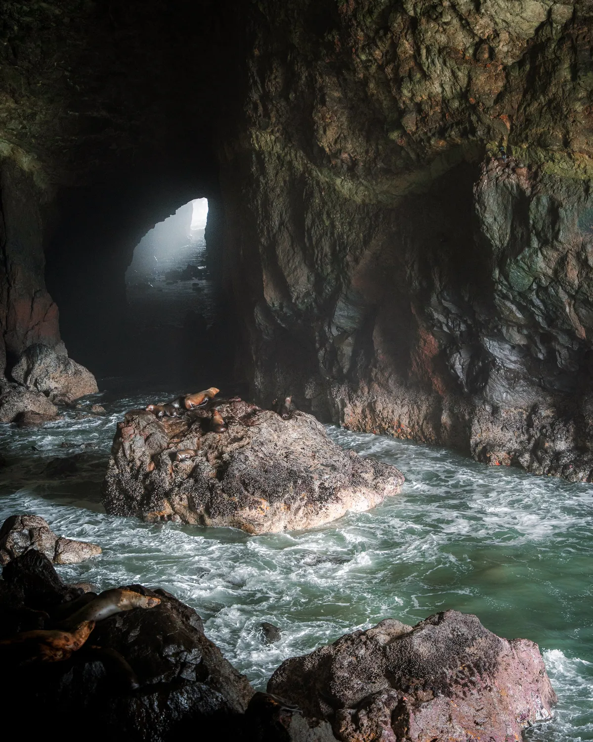 Sea Lion Caves